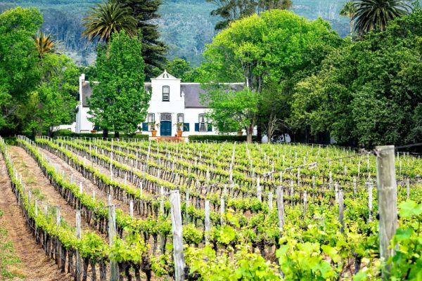 Wine Route al volante