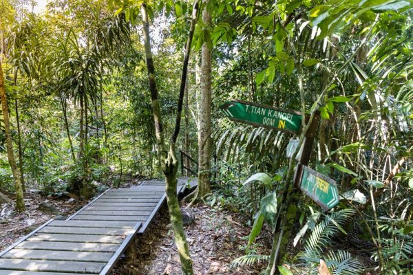 Taman Negara