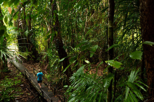 Borneo: I colori del Sarawak