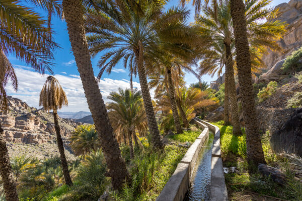 Jebel Akhdar, La Montagna Verde