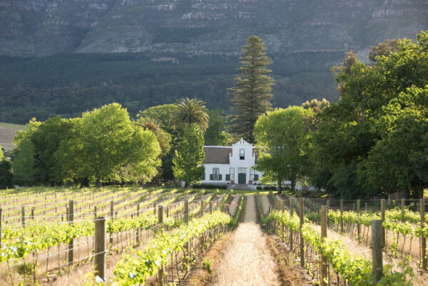 Cape Town, Wine, Garden Route e Addo National Park on the road