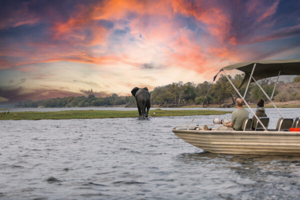 Botswana Adventure