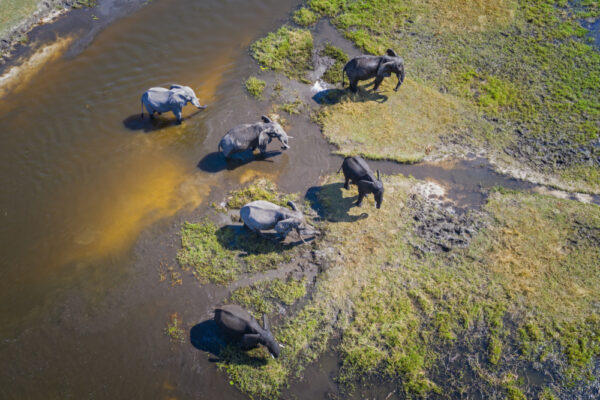 Glamping in Botswana