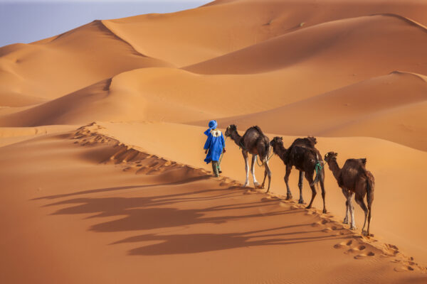Sahara Express