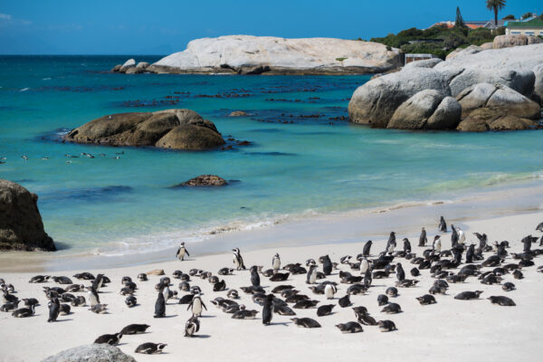 Capodanno in Sudafrica