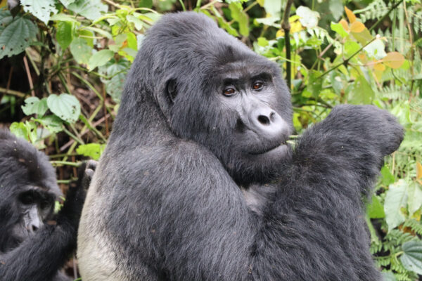 Places of Uganda