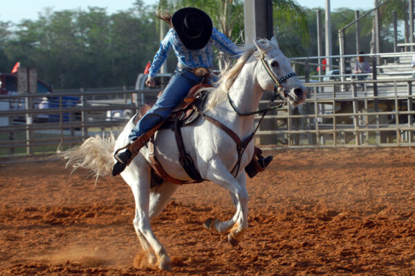 From Texas to Louisiana by creo