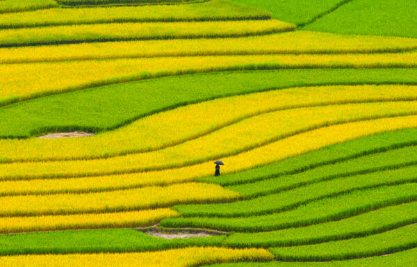 Places of  Vietnam & Sapa 2026