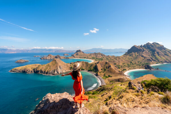 Ubud e crociera a Komodo
