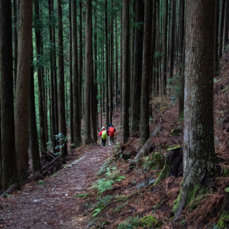 Imperdibili Tokyo e Kyoto con Ise e Kumano Kodo
