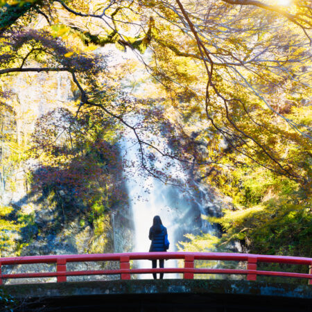Japan Wonders (valido per partenza da Aprile 2027 a Marzo 2028)