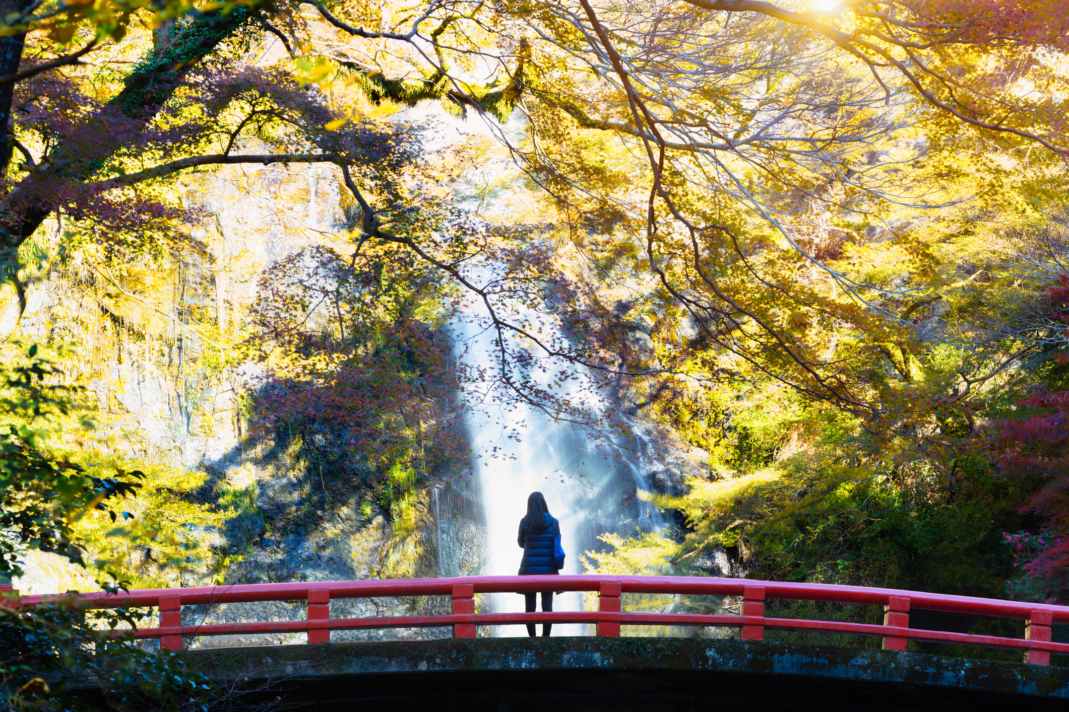 Japan Wonders (valido per partenza da Aprile 2027 a Marzo 2028)
