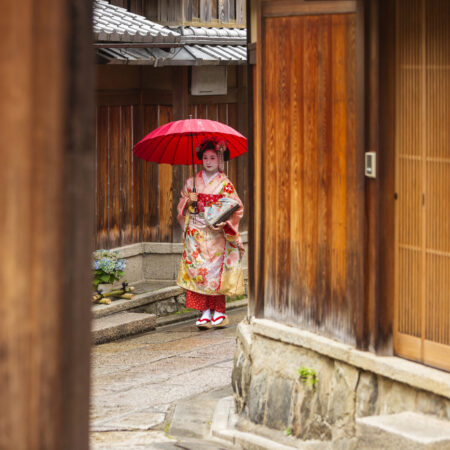 Giappone, terra di maiko e samurai (Valido per partenze da Aprile 2027 a Marzo 2028)